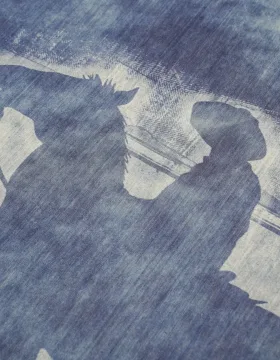 DSC06878_副本-转换自-jpg